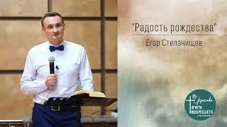 Егор Степанищев 