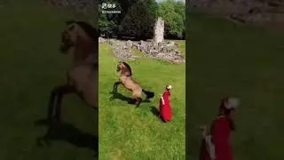 Wow, amazing Crafts..! Lady with horse