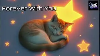 Forever With You - MUSICCREATORDON | Best Romantic Love Song 2025