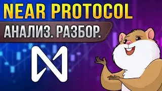 Near Protocol. Когда будет по $30? Стоит ли сейчас покупать? Обзор проекта