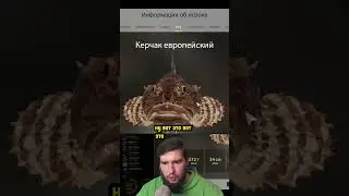 🤯СТРИМЕР БУЛЛИТ РЫБУ ЗА ВНЕШНОСТЬ🤣 