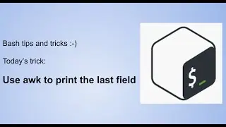 bash scripting - print last field with awk