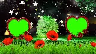 Beautiful Love frame vfx designer+Shaadi Green Screen photo frame hd video 3D effects 2021