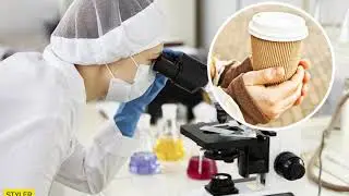 Могут быть опасны для здоровья: ученые сделали заявление о картонных стаканчиках.