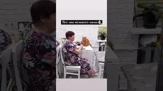 #cat