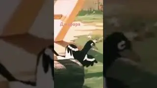 Джафара,, мультфильм😀🤣😉
