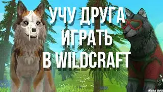 УЧУ ДРУГА ИГРАТЬ В ВАЙЛД КРАФТ