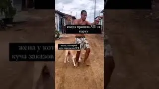 Пришла зарплата и жена | Подпишись на смех