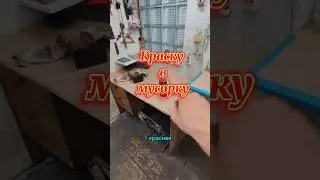 Удалить лкп в ноль. АвтомастерскаяBAV