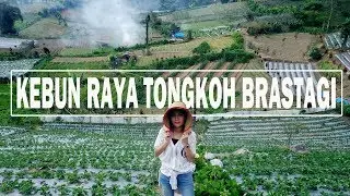 MyTrip: ASIKNYA!!.. Liburan Sambil Belajar Bertani di Kebun Raya Tongkoh Brastagi