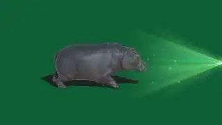 Green screen sheep 🐑//Green screen walking, Running sheep♏