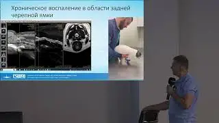Лечение собак карликовых пород Сирингомиелия впадина Дьюи Киари