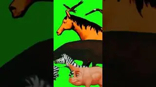 Animal stampede green screen #animal #stampede #greenscreen #yt