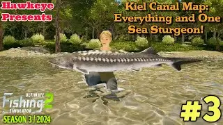 Ultimate Fishing Simulator 2 - The Kiel Canal Map: Everything and One Sea Sturgeon!