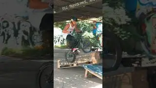 BMX Park or BMX Street? #bmxriding #shortsfeed #skatepark #subscribe #bmxlife #bmx