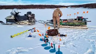 ОНИ ЖРУТ ВСЕ!!!  НАПАЛИ НА ЖЕРЛИЦУ!!!  ЭТО   ЗИМНЯЯ РЫБАЛКА НА ЖЕРЛИЦЫ В ЗАПОЛЯРЬЕ!!!