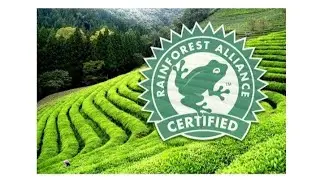 Еда Сойлент и Лягушка на продуктах - это одно и тоже.