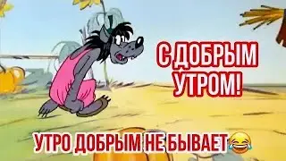 С добрым утром и хорошим днём! Отличного настроения👍 С добрым утром! Утро добрым не бывает😂