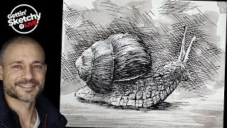 Live Drawing - Snail Drawing with Pen and Ink