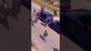 Animal Movie Leaked Scene