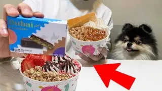 요즘 난리난 요아정+두바이 초콜릿 먹방