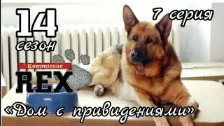 Комиссар Рекс, 14 сезон, 7 серия «Дом с привидениями»