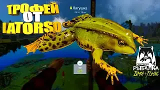 Русская рыбалка 4. 🎣 ТРОФЕЙНАЯ ЛЯГУШКА 🐋 ТРОФЕЙ от LATORSO...👀