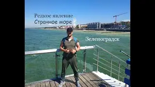 Зеленоградск  Путь к бювету и пляжу. Странное море. Первый раз такое вижу.