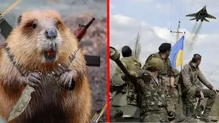 Хардкор режим колонии бобров Timberborn и Cold War мод на войну в Украине Втв Штурм 2 Nobody except