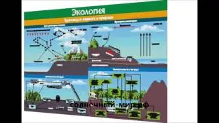Видео обзор - Таблица Круговорот веществ в биосфере 700*1000 (винил)