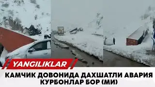 Камчик довонида нималар булди тез куринг