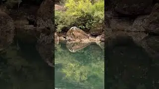 Места силы