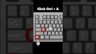 Keyboard shortcut | Select All command (Ctrl + A)