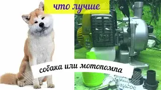 Мотопомпа Хитачи А 25ЕВ(S)Не сложный выбор между 