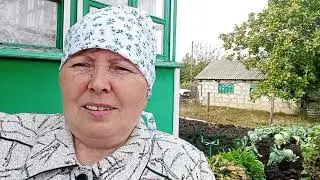 Огородные дела . Всем привет.Деревенская жизнь.