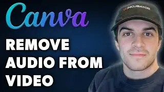 How to Remove Audio From Video in Canva (Full 2024 Guide)