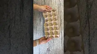 Из яичного лотка 