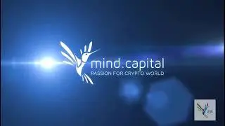 MindCapital  доказательство реальности сделок компании