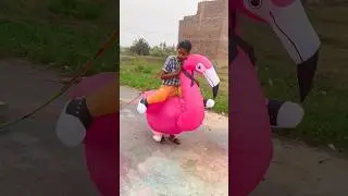 #funny