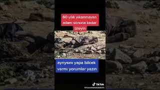 Atmış yıl yıkınmayan adan