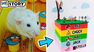 Dumbo Rats in 5 - Level Angry Birds Maze 🐦 Homura Ham Pets