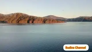Pemandangan Laut Tercantik di Dunia Dari Picton ke Wellington