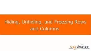 Hiding, Unhiding, and Freezing Rows and Columns in Microsoft Excel