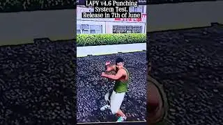 LAPV 4.6 Punching System Test