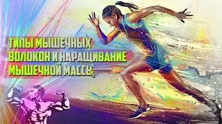 Типы мышечных волокон и факторы, влияющие на рост мышц.