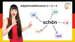 Adjektivdeklination mit der, ein und ohne Artikel 