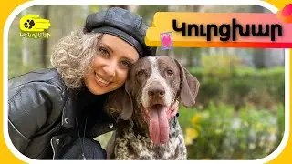 Կուրցխար.Ամեն ինչ ցեղատեսակի մասին: