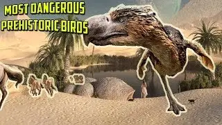 How Many Types Of Prehistoric Birds Do You Know