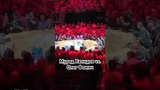 Мурад Халидов vs. Олег Фомич | TDFC30