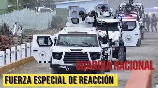 Fuerza Especial de Reacción e Intervención de la Guardia Nacional